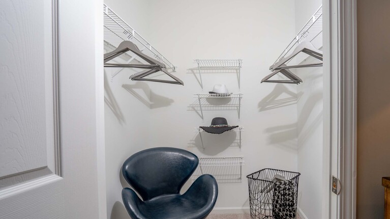 Spacious walk-In closet