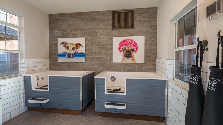 Pet Spa with Dog Washing Station