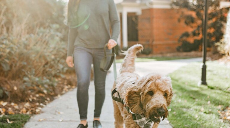 Pet Friendly Walking Paths