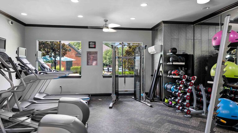 Free weights and cardio machines
