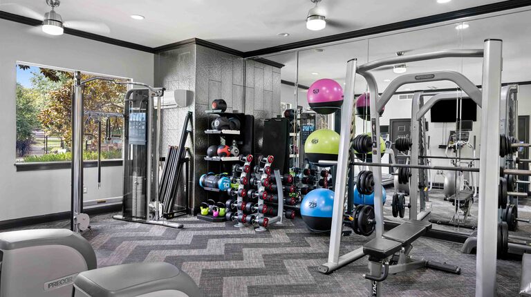 Fitness center with strength equipment