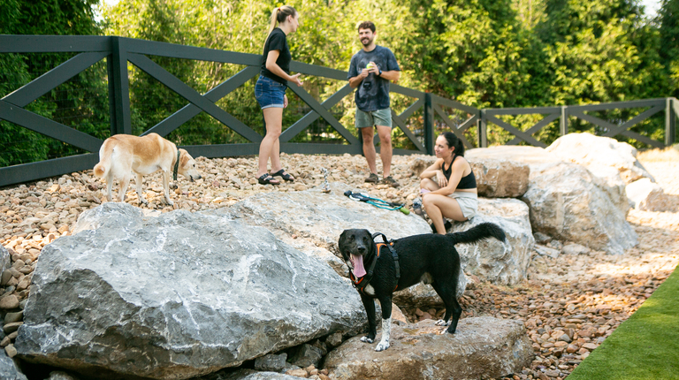 Fenced dog park with rugged rock feature
